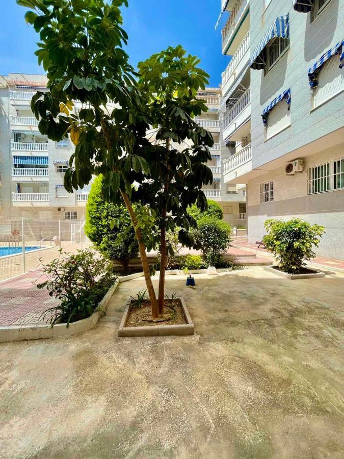 Torrevieja Comfortable Apartment 외부 사진